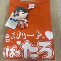 らぶしっく たろ 推しT ぬいぐるみ セット らぶしっく たろ 推しT ぬいぐるみ セット - メルカリ