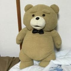 Ted ぬいぐるみのサムネイル