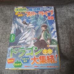 大自然の魔法師アシュト、廃れた領地でスローライフ 10