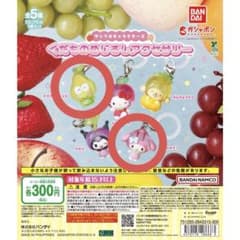 サンリオキャラクターズ くだものめじるしアクセサリー 2種セットのサムネイル