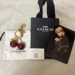 【極美品】COACH チェリー バッグ　チャーム　正規品　※中島健人カード付き m94342697887_1.jpg?1737103679