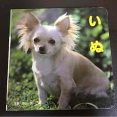 ちっちゃなしゃしんえほん いぬのサムネイル