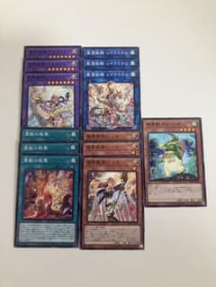 遊戯王 霊獣デッキ card100318440_1-207x300.jpg