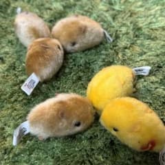 クリスマスに！遊んで！カピバラさん6匹セットのサムネイル
