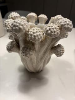 Nordal ノーダル / FUNGI フラワーベース（高さ19cm） Nordal ノーダル / FUNGI フラワーベース（高さ19cm） - メルカリ
