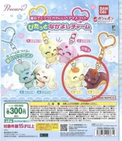 プリキュア ぴたっとなかよしチャーム ココ ナッツ ガチャのサムネイル
