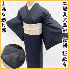本場大島紬　証紙有り　夏大島　単衣　薄物　美品 アンテイック大島】証紙なしでお値打ち！【本場大島紬】 ≪仕
