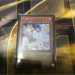 灰流うらら  シクのサムネイル