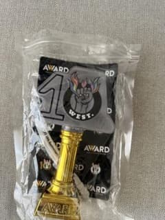 west ペンライト　awardのサムネイル