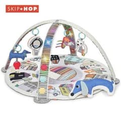 SALE★スキップホップ フレンチヴィレッジ・アクティビティジムのサムネイル