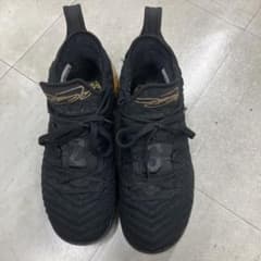 NIKE LEBRON16 『I'm King』26.5cmのサムネイル