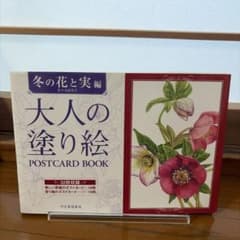大人の塗り絵 POSTCARD BOOK 冬の花と実編 佐々木由美子のサムネイル