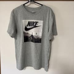 Nike THE NIKE TEE グレー Tシャツ Mのサムネイル