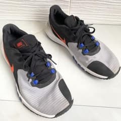 Popular Nike Flex Control running shoes, size 26cm, black and gray.