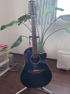 Ovation Celebrity CSE245 12弦エレアコギター 青 Ovation Celebrity CSE245 12弦エレアコギター 青 - メルカリ