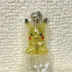 匿名発送】ポケモン めじるしアクセサリー2 ピカチュウ ワッカネズミ
