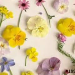 さる様 専用ページのサムネイル