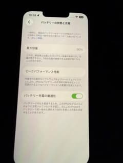 Apple iPhone 본체