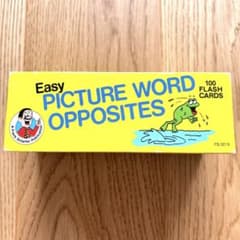 Easy Picture Word Opposites 反対語カード100枚のサムネイル
