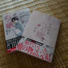 血の轍 (16)(17)のサムネイル