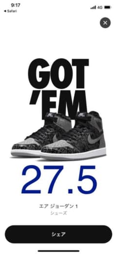 AIR JORDAN 1 Rebellionaireのサムネイル