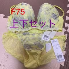 ブラジャー ショーツ　パルファージュ　セットのサムネイル