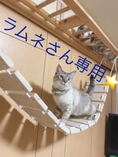 ラムネ様 専用  モモンガ用ハシゴ  オーダーメイドのサムネイル