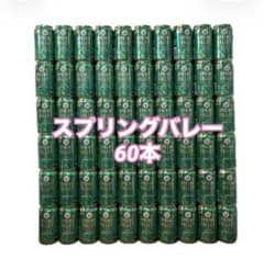 お酒 スプリングバレー まとめ売り 詰め合わせ クラフトビール - メルカリ