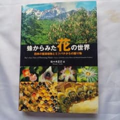 蜂からみた花の世界 : 四季の蜜源植物とミツバチからの贈り物 - メルカリ