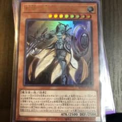 教導の騎士フルルドリス URのサムネイル