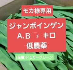 モカ様専用 - メルカリ