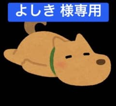 【よしき様専用】Nintendo Switch Proコントローラーのサムネイル