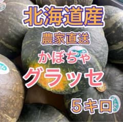 北海道産 農家直送】しっとり系かぼちゃ『グラッセ』5キロ - メルカリ