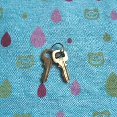 ルイヴィトン　パドロック　鍵　No.３１２のサムネイル