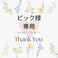 ノースフェイスTシャツのサムネイル