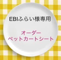 EBIふらい様専用ページのサムネイル