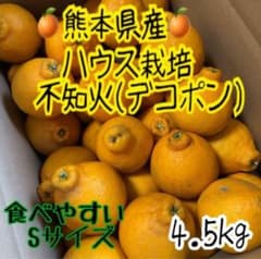 熊本県産ハウス栽培　不知火のサムネイル