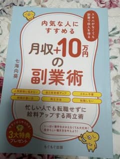 内気な人にすすめる月収+10万円の副業術、七海向葵のサムネイル