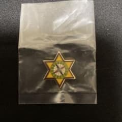 崇教真光　✨御神紋（上級・中級・初級）✨替えチェーンセット 崇教真光 初級御神紋 バッジ - メルカリ