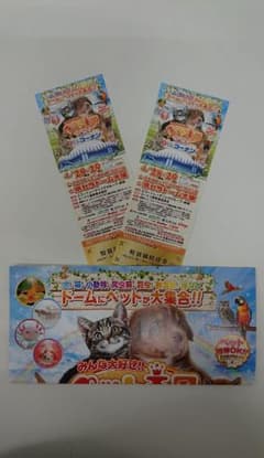 みんな大好き！！ペット王国２０２４特別招待券2枚セットのサムネイル
