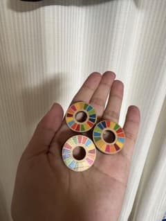 SDGs ピンバッチ 木製 3個セットのサムネイル