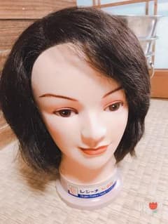 レジーナNo.805 ウィッグ 美容師国家試験のサムネイル