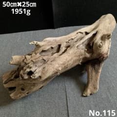 アク抜き済み流木 No.115 置き方いろいろ - メルカリ