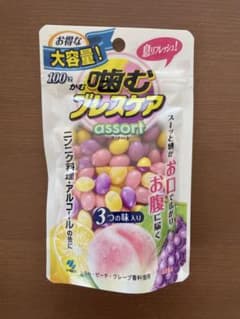 噛むブレスケア　100粒のサムネイル