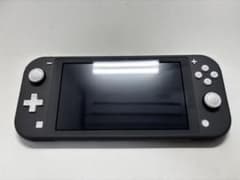 Nintendo Switch Lite 本体 充電器SDカード（64ギガ） Nintendo Switch Lite 本体 充電器SDカード（64ギガ） - メルカリ