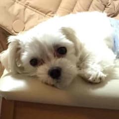 るー様⭐️専用ページのサムネイル