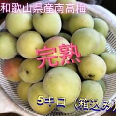 和歌山県産　南高梅　完熟　5キロ（箱込み）のサムネイル