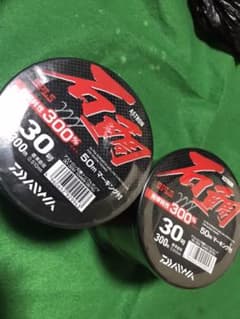 ダイワ　アストロン　30号のサムネイル