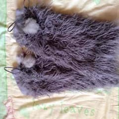 ボンボン付きモコモコ怪獣のサムネイル