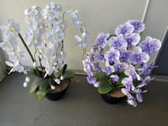 胡蝶蘭　造花　白　紫　2つ　鉢のサムネイル